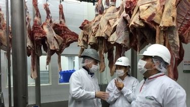Registran caídas en la producción de carne aviar y bovina