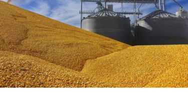 No harán nuevas modificaciones al esquema actual de retenciones