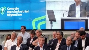 CAA criticó a lo diputados por no llegar a un consenso sobre el proyecto impulsado por la administración de Javier Milei.