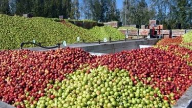Empresa familiar adquirió la firma Moño Azul