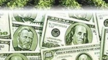 El precio de la soja traspasó los 570 dólares por tonelada