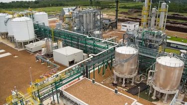 Productividad del proceso de biosíntesis de etanol.