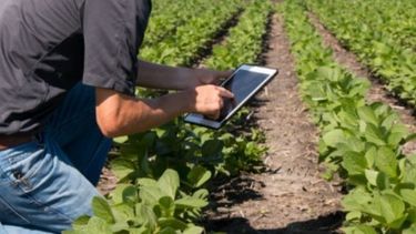 Así será el banco para el agro de la BCR