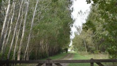 Bajó la cantidad de operaciones inmobiliarias en el campo