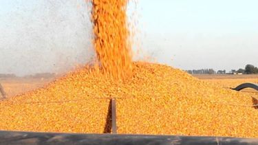 Para el Gobierno, el cambio en retenciones es una adecuación del tipo de cambio