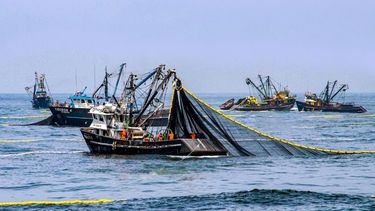 Los reclamos de la industria pesquera sobre las retenciones.
