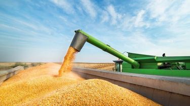 Estiman que la producción agrícola subirá a unas 130 millones de toneladas