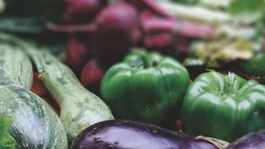 Lanzan microcréditos para productores de verduras agroecológicas