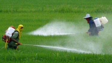 La Bolsa de Comercio de Rosario rechaza la prohibición del glifosato