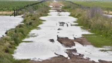 Coninagro advierte sobre las consecuencias negativas de las inundaciones