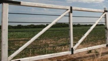 Productor criticó la suba del inmobiliario rural en Buenos Aires