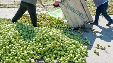 Reclaman tasas y tarifas diferenciales para las economías regionales