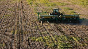 La siembra de trigo sufrió un recorte de 100.000 hectáreas