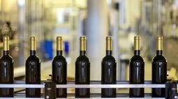 La producción global de vino cerrará el 2020 en baja por la pandemia