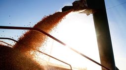 Confirman una merma del ingreso de dólares por agropexportaciones