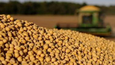 La soja cayó US$ 9 ante un nuevo avance del coronavirus