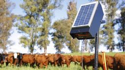 Destinan US$ 2.646 millones para proveer energía a productores rurales