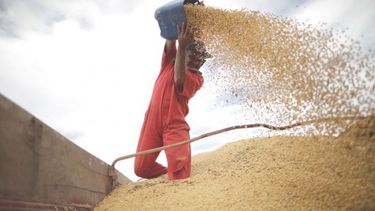 La demanda por harina y aceite de soja de Brasil crece por la huelga en Argentina