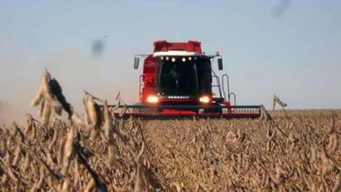 Finalizó la cosecha de soja tardía en el centro y norte de Santa Fe