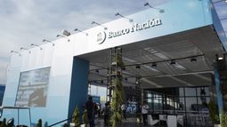 Las opciones crediticias del Banco Nación para los productores.