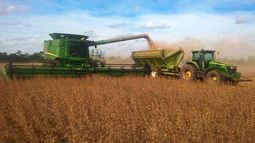 La cosecha de soja en Santa Fe mostró rendimientos de hasta 25 quintales