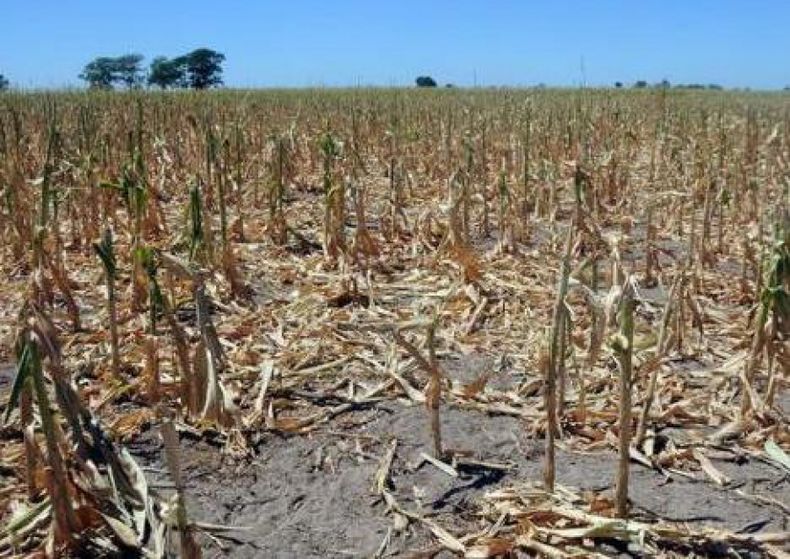 Se prorrogó la emergencia agropecuaria en Santa Cruz