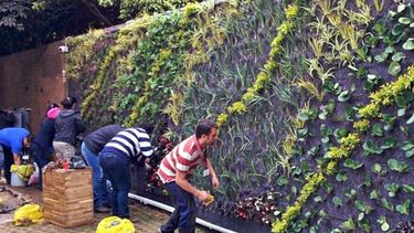 El ABC de los jardines verticales: qué son y qué beneficios traen