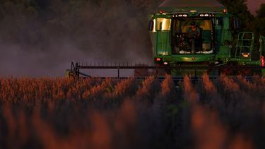 Panorama positivo para los productores locales.