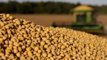 La soja tuvo una recuperación y terminó arriba de US$ 512 en Chicago