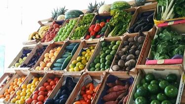 IPOD de CAME en junio de 2023.