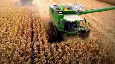 Participación del agro en el PBI argentino crecerá casi un punto en 2017