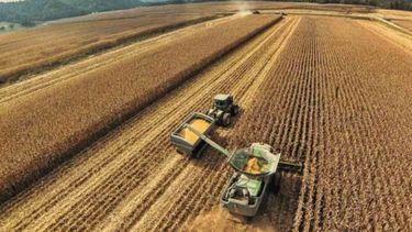 Brasil tendría una cosecha récord en 2022 pese a la sequía