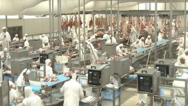 El Consorcio ABC apoya la implementación del Remito Electrónico Cárnico