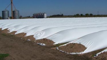 CRA remarcó que las silobolsas son "método de reserva estratégica"