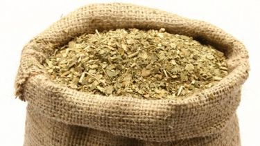 Lanzan programa de estímulos a pequeños molinos yerbateros