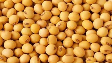 Cambian la retención mínima de Ganancias para comercializadores de granos