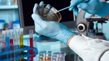 Nueva convocatoria para el Régimen de Promoción de empresas biotecnológicas