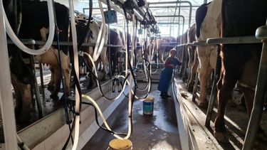 La actividad en los tambos argentinos.