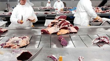 Se hacen más fáciles los trámites de la industria frigorífica