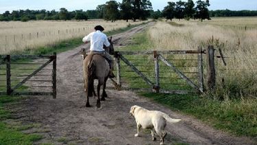 Renatre prorrogó el Plan de Facilidades de Pago para deudas previsionales