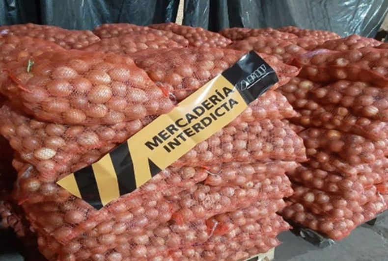 Irregularidades en el proceso de exportación de cebollas a Brasil