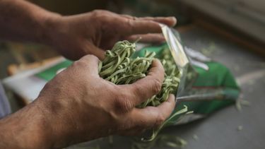 Abren la convocatoria de programa para impulsar a PYMES alimenticias