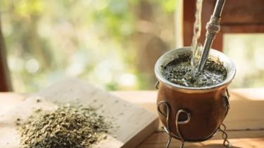 El consumo de yerba mate superó los 213 millones de kilos en 2022