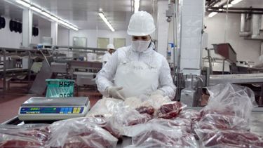 Despachos de la Cuota Hilton llegaron a un 90% de lo esperado