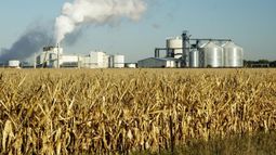 El bioetanol a base de maíz aumentará más de 41% hasta agosto