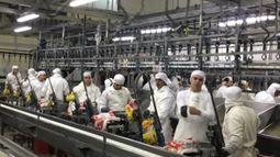 Cresta Roja retomó su producción tras reincorporar a despedidos