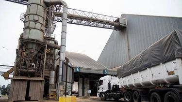 Los factores que afectan el proceso de apertura comercial.