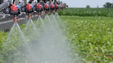 Nueva empresa de coadyuvantes se afianza en el mercado argentino