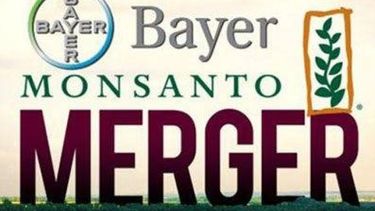 Estados Unidos aprobó la compra de Monsanto por parte de Bayer