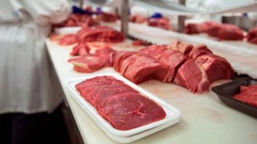 Detectan un repunte en la producción de carne